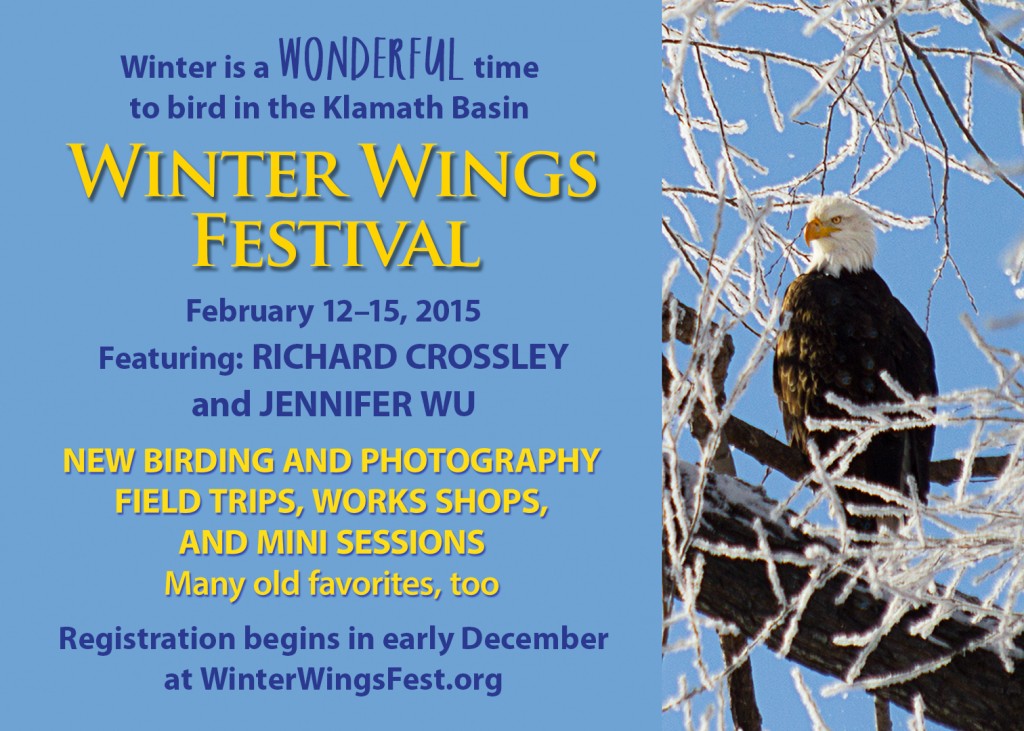 Klamath Basin Winter Wings Festival Palomar Audubon Society